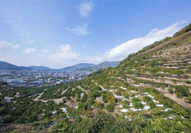 和歌山景色