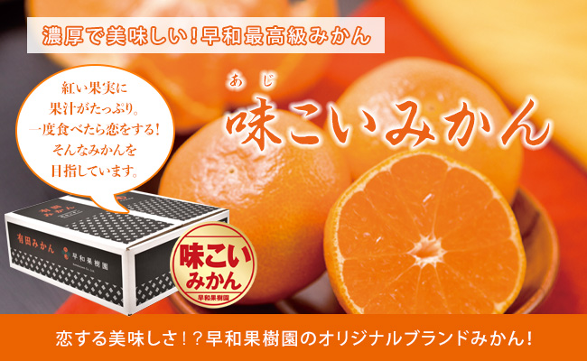 味が濃い有田みかん