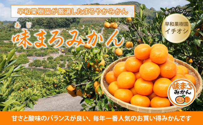 かごに盛られた早生みかん