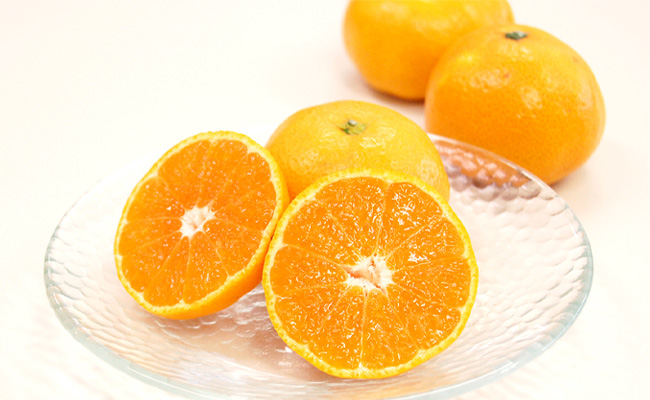 早和果樹園の通販でお届けするおすすめみかん