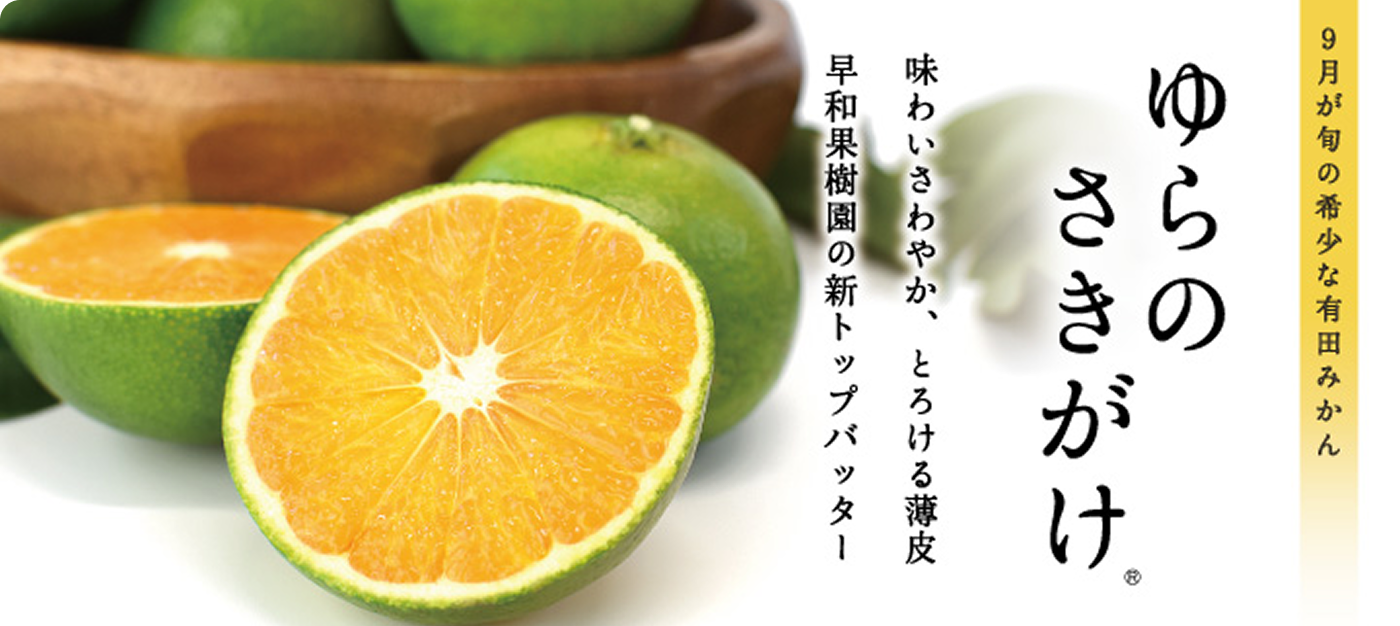 ゆらのさきがけはこちら