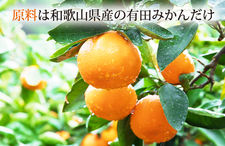 有田みかんギフト