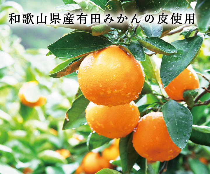 樹になった状態の有田みかん