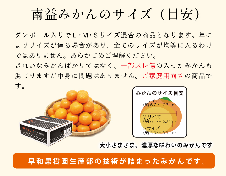 みかんの畑