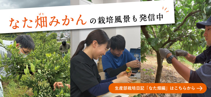 生産部栽培日記「なた畑編」はこちら