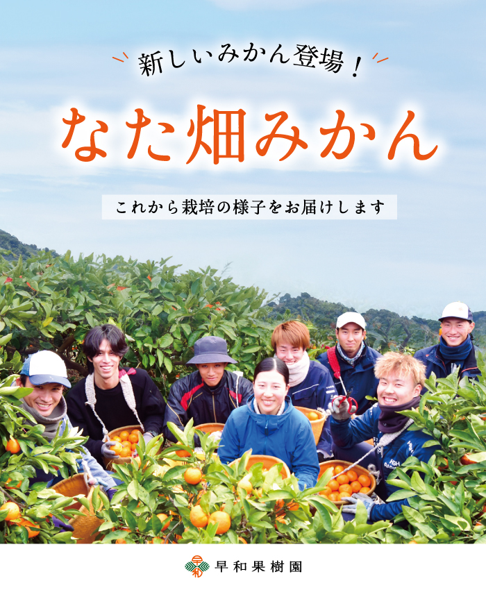 生産部栽培日記「なた畑編」はこちら