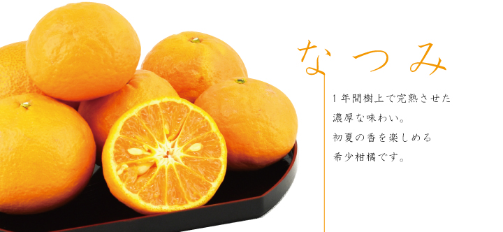 なつみ販売ページ
