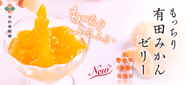 和歌山県産の有田みかん