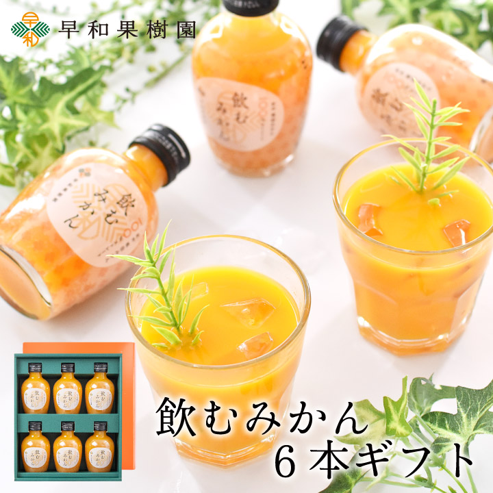 飲むみかん6本ギフト【送料無料】(R)