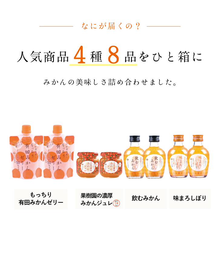 有田みかん人気商品4種8品をひと箱に