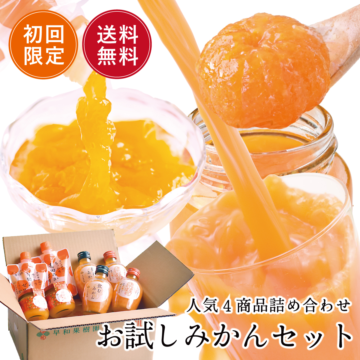 送料無料！お試しセット