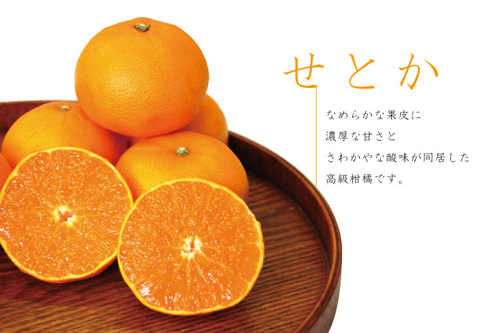 和歌山県産せとか