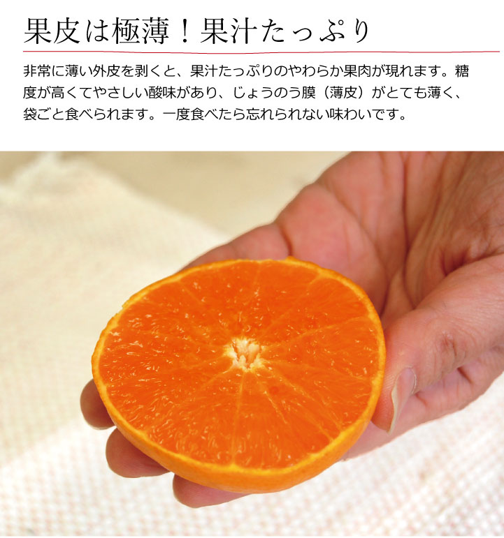 和歌山県産せとか
