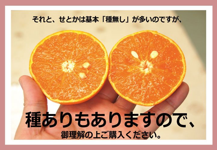 和歌山県産せとか