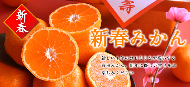 新春ご奉仕みかん