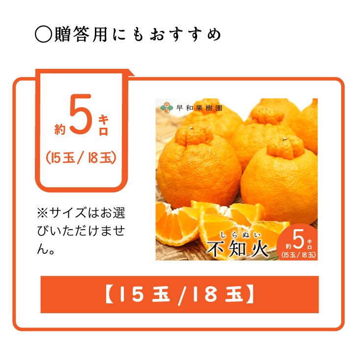 しらぬい15玉18玉