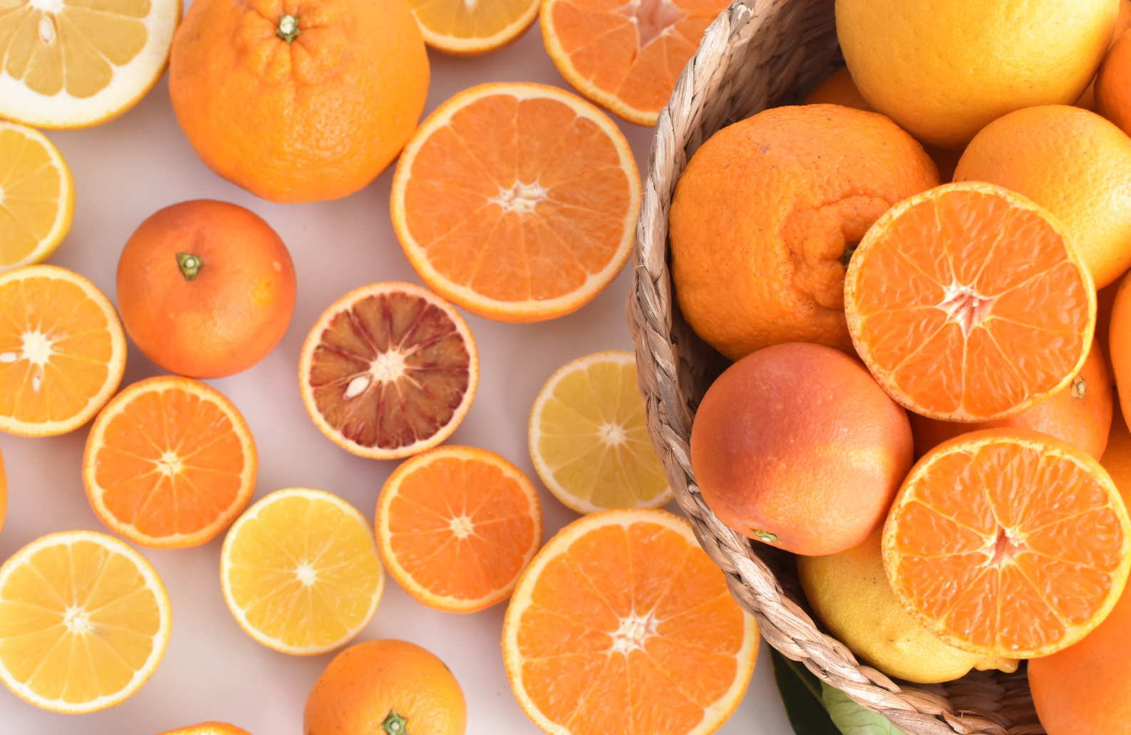 春の柑橘はこちら