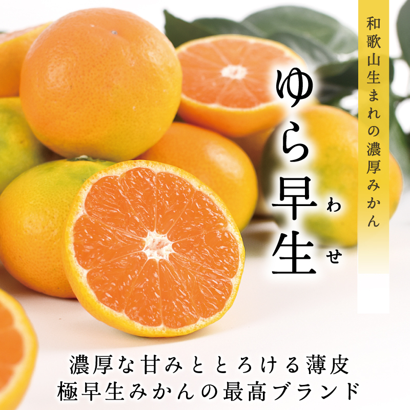 ゆら早生みかん