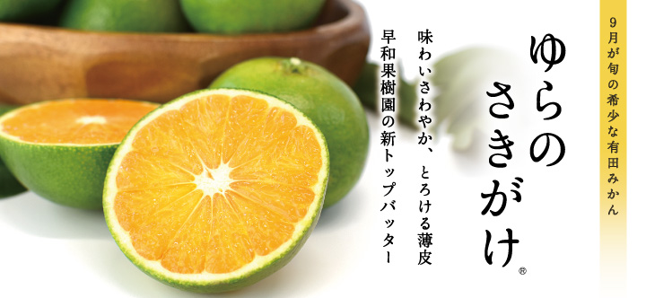 ゆらのさきがけ