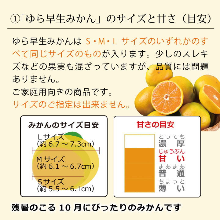 ゆら早生のみサイズについて