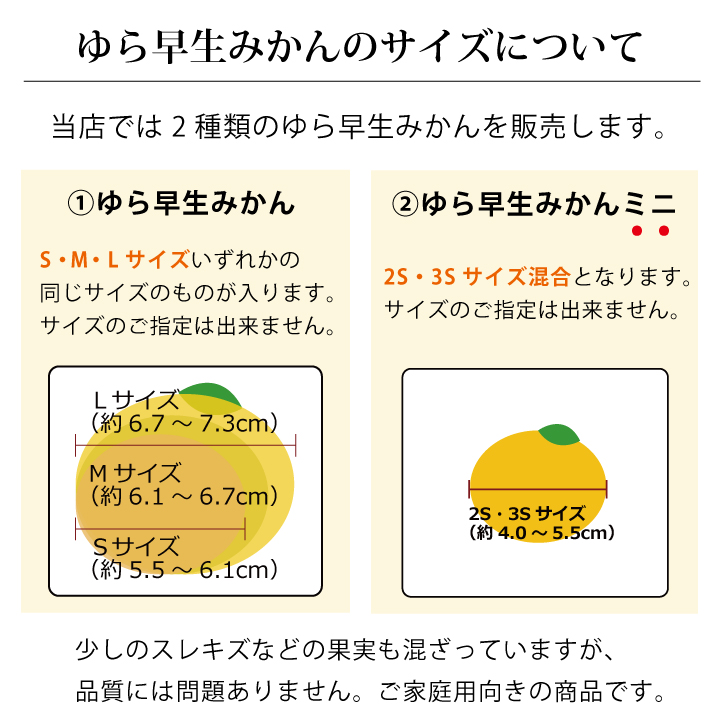 ゆら早生サイズについて