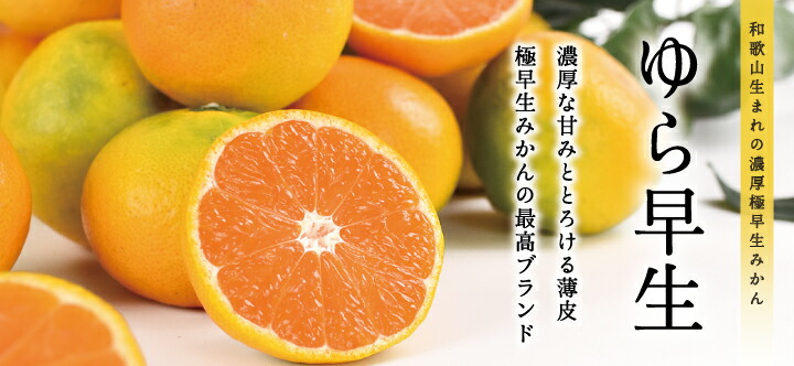 ゆら早生みかん