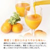 グラスに注がれる美味しいみかんジュース