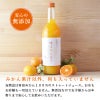 美味しいみかんみかんジュースは安心の無添加