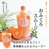 みかんを使用した飲むゼリーと有田みかん