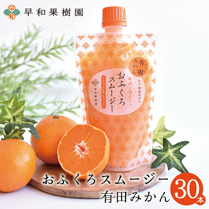 リーメント USAシリーズ ミニスイーツ ⑧ ヘルシーフルーツスムージー 激レア 箱買いゼリー飲料｜おふくろスムージーみかん30本入【早和果樹園】