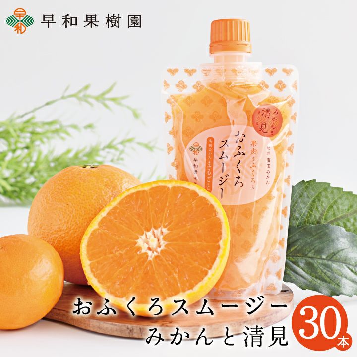 早和果樹園 おふくろスムージー みかん 20個セット 御中元 お土産 有田みかん 柑橘スムージーならおふくろスムージー清見【早和果樹園】