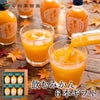 無添加ジュースギフトなら飲むみかん8本ギフト