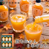 無添加ジュースギフトなら飲むみかん8本ギフト