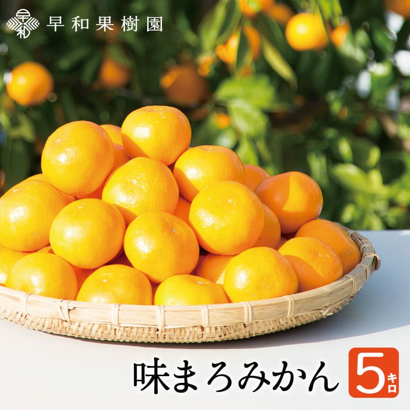 有田みかんの5kgをお取り寄せなら和歌山県の早和果樹園