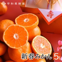 有田みかん５キロ