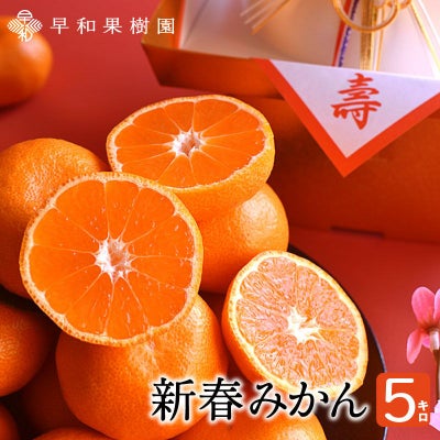 有田みかん５キロ