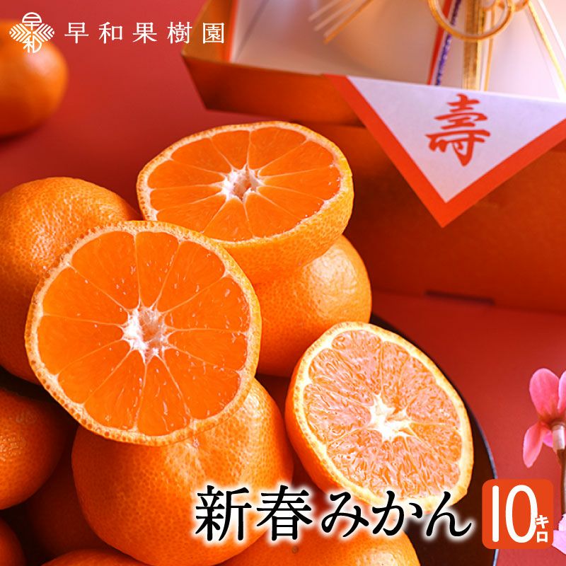 お正月明けにお届けする有田みかんなら新春みかん10kg