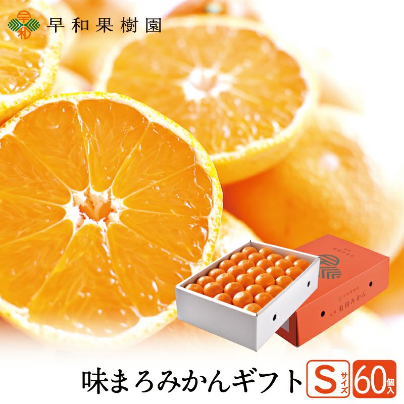 ⑤温州みかん 樹熟大坊みかん 秀品(贈答品同様)2S、Sサイズ10kg 楽天市場】大 坊 みかんの通販