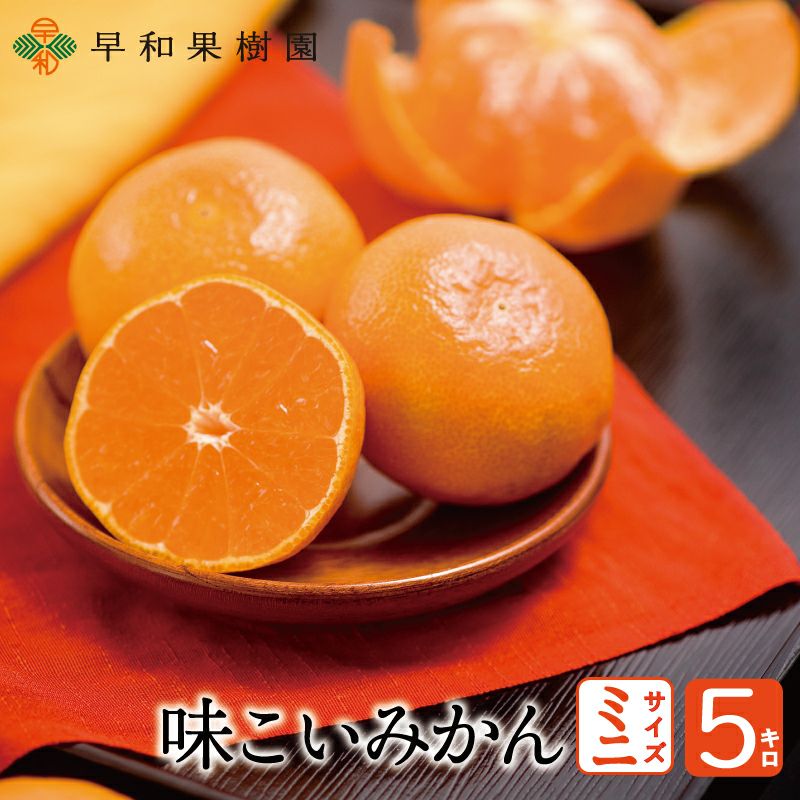 有田みかん 糖度の高い一口サイズみかん　2S　5キロ MaaasaSaka様 0000000025542_2g2dgMX.jpg