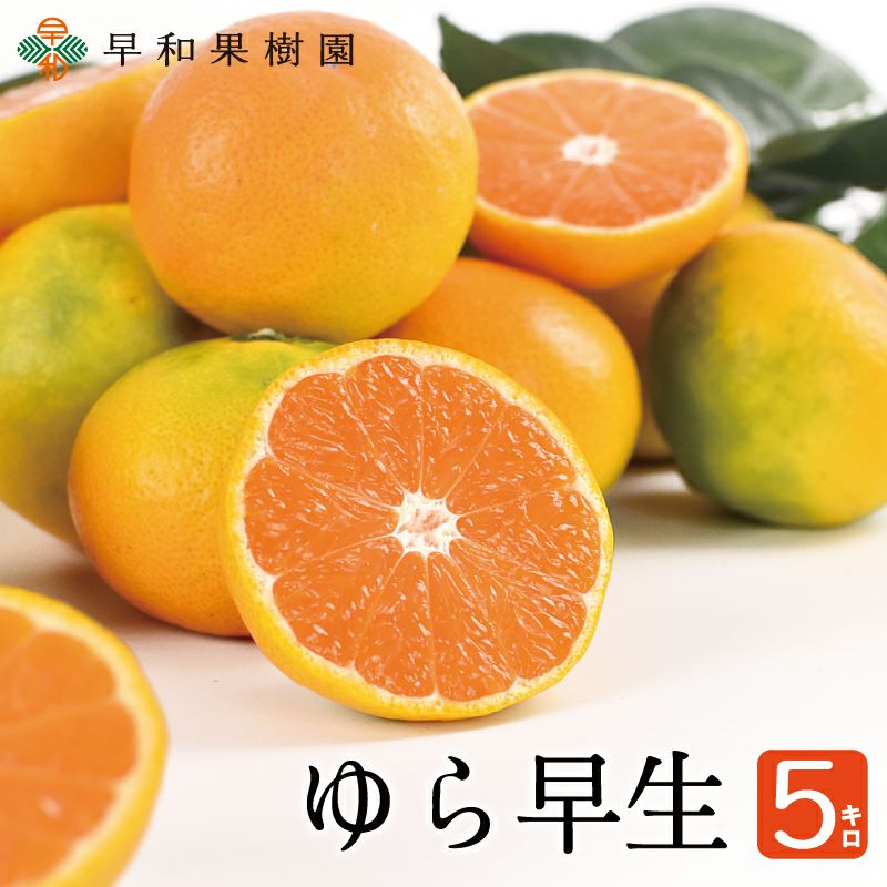 甘い極早生みかんならゆら早生5kg｜和歌山有田の早和果樹園