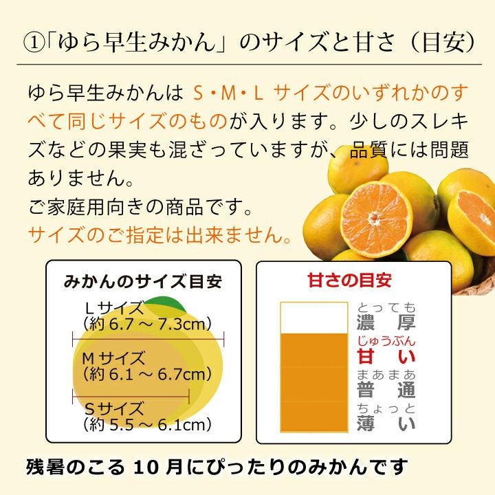 000000000158-10.jpg?size=xs&w=