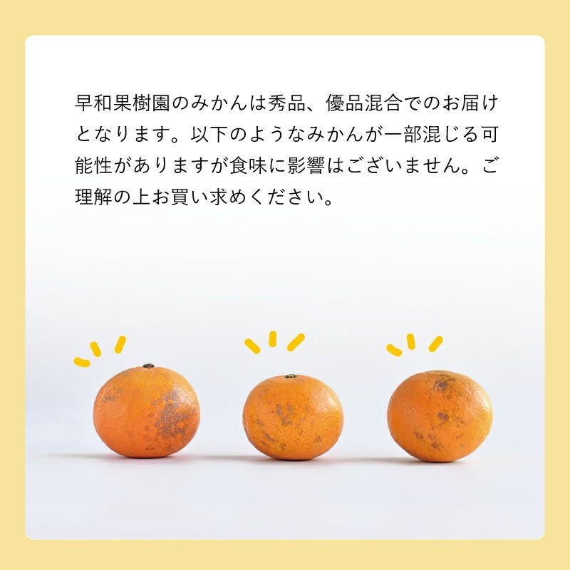 和歌山県産のゆら早生みかん10kg｜紀州有田の早和果樹園