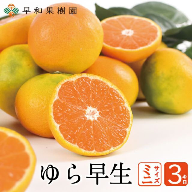 和歌山　みかん　ゆら早生　訳あり　20kg 楽天市場】【ふるさと納税】【限定】【2026年先行予約】 【ご家庭用 極