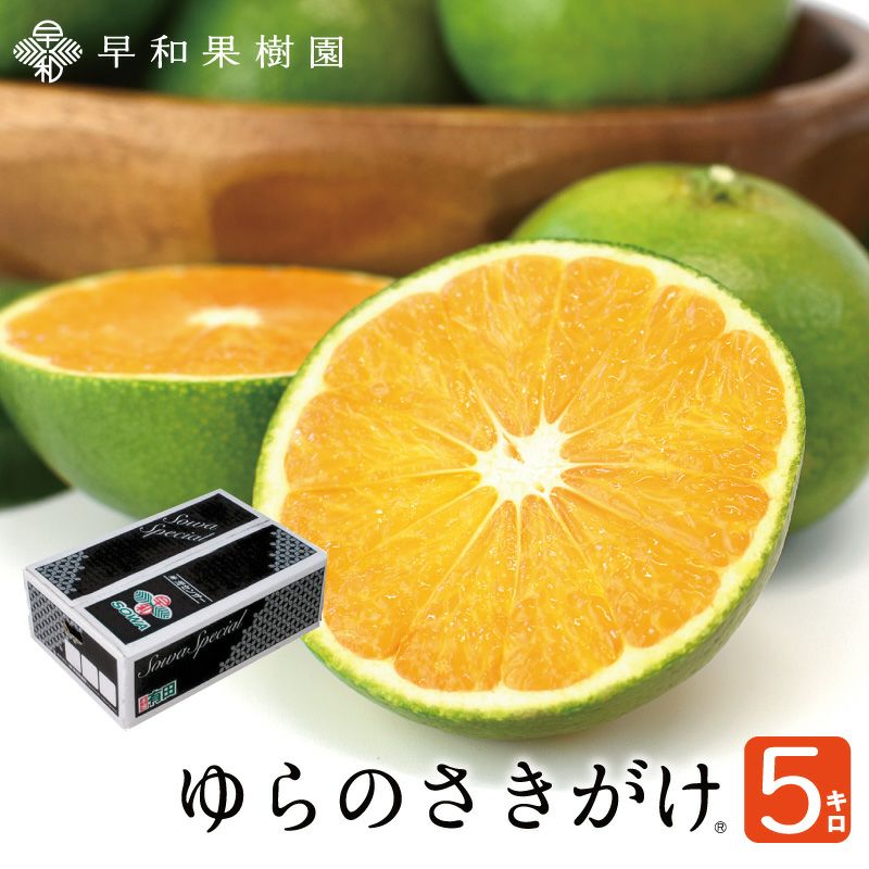ゆらのさきがけ（YN26）5kg【送料無料】│ゆら早生から生まれた新品種