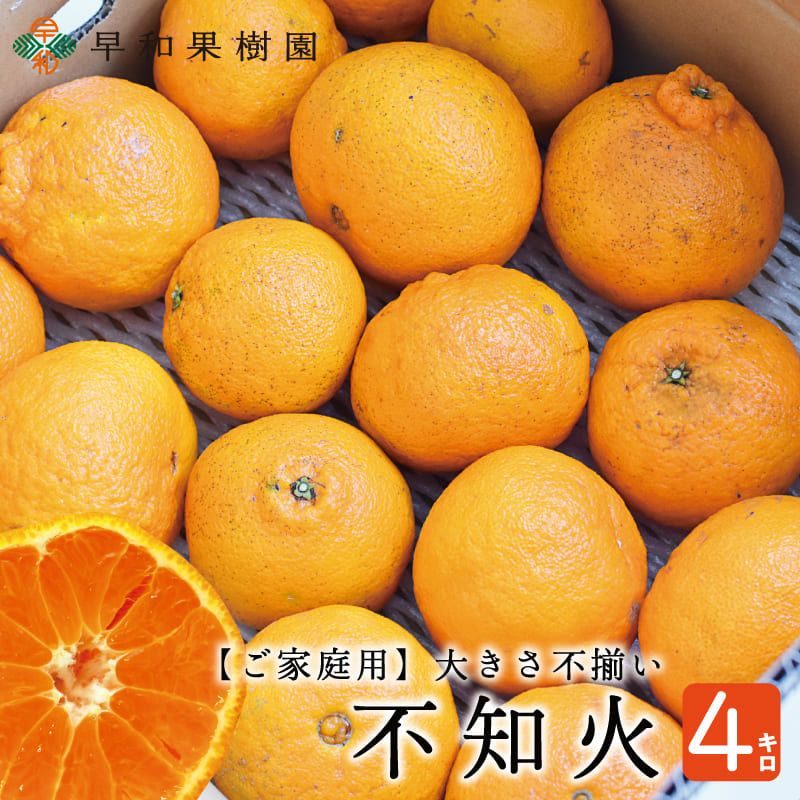 でびちゃん　和田果樹園の果物10kg ITEM | 和田果樹園