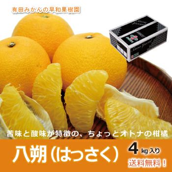 和歌山県の旬のはっさくなら紀州有田みかんの早和果樹園