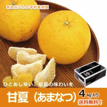 甘夏（あまなつ）4kg｜和歌山有田みかんの産地直送なら早和果樹園