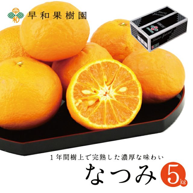 甘い晩生みかんなら大津4号5kg｜和歌山有田の早和果樹園