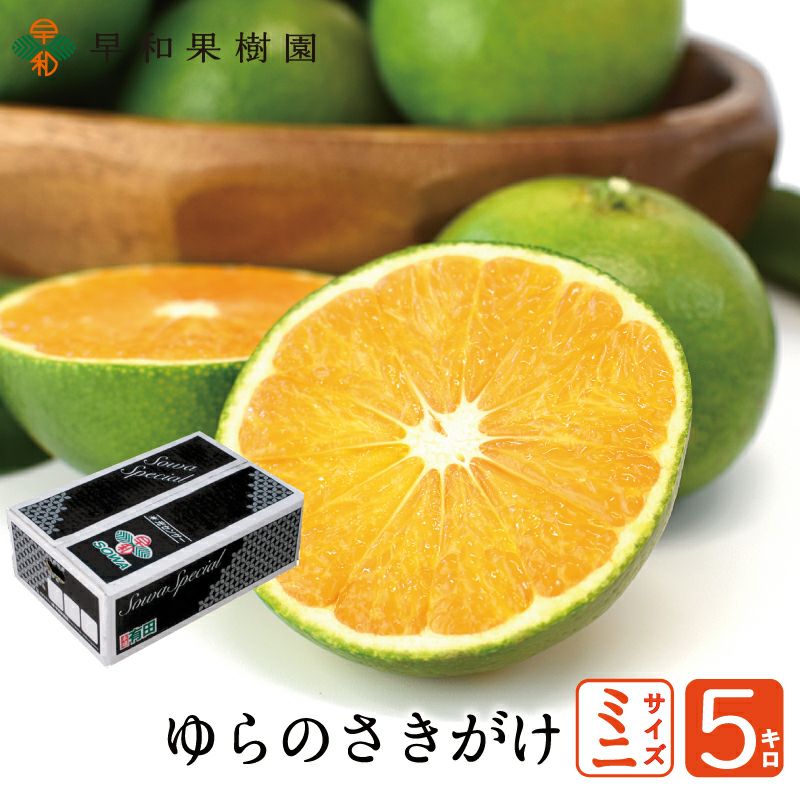 早い者勝ち！元値4万円以上の良品計画のセットがこの価格！！ 価格は高いが性能も高い?? カワサキ「Ninja ZX-4R」新モデル SNSでは