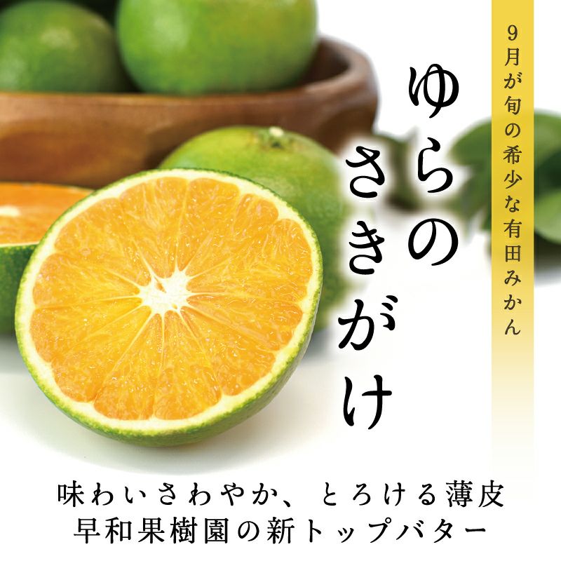 9月が旬の新品種ゆらのさきがけ（YN26）ミニ5kg｜早和果樹園